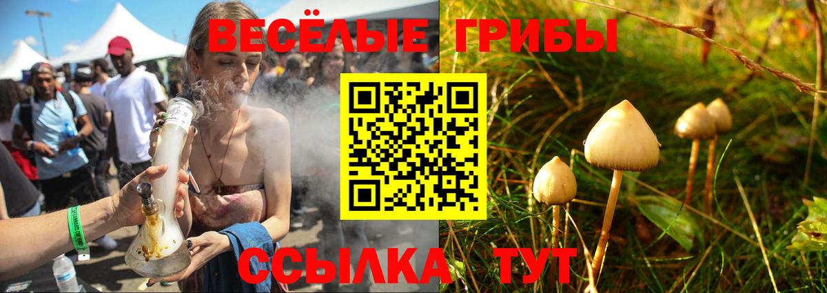 Бугульма  Псилоцибиновые грибы ЛСД  Вход с VPN 